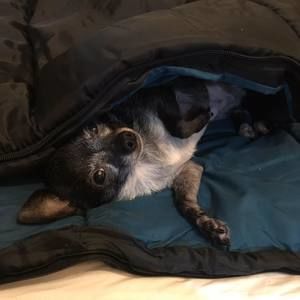 Meet your Posher, Donna